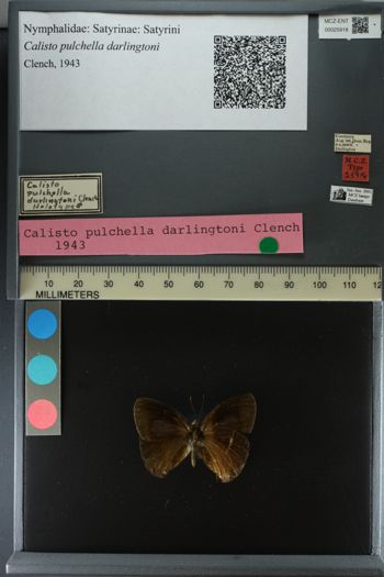 Media type: image;   Entomology 25918